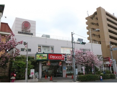 プラティーク桜新町