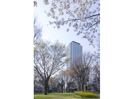 コンシェリア西新宿ＴＯＷＥＲ’ＳＷＥＳＴ