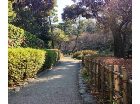 コンシェリア早稲田Ｇｒｅｅｎ Ｆｏｒｅｓｔ